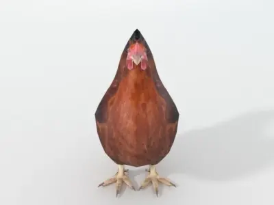 Chicken rooster Low-poly 3D model