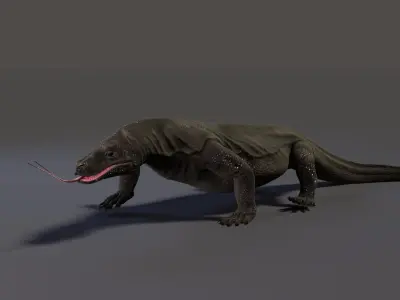 Komodo Dragon Low-poly 3D model