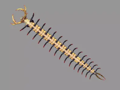 Cartoon black centipede Low-poly 3D model