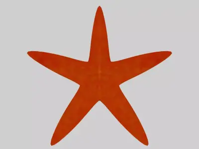 Starfish 3D Model Low-poly 3D model