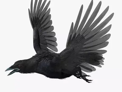 Crow - rigged - animated - Standard - PBR - VRAY Low-poly  3D model