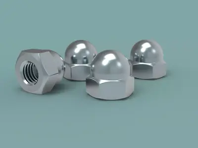 Cap nut 3D model