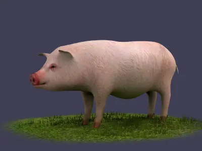 Pig wild Farm Teeth Eyes Trousers Dress Animals mammal 3D model