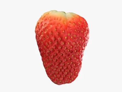 Strawberry Without Stem 02 3D model