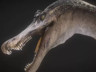 Baryonyx  Low-poly 3D model