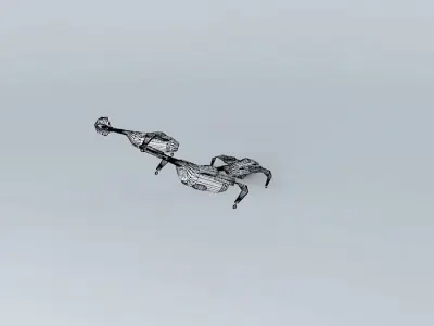 Heli Cargo Concept Free 3D model