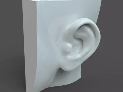 CAD-friendly Casual Woman Ear Model F1P1D0V1ear 3D model