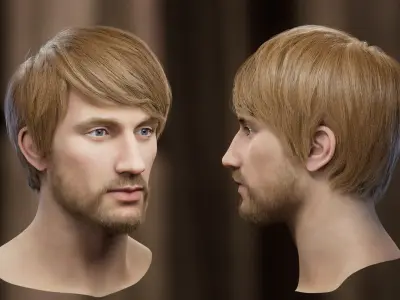 10 Hair Card Hairstyles 3D model