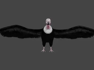 Vulture low poly fully rigged 2 Low-poly 3D model