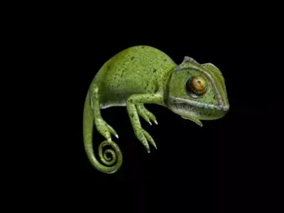 Chameleon Low-poly 3D model