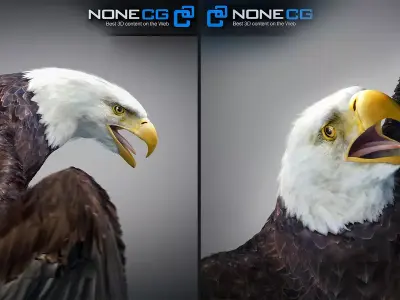 Animated Bald Eagle by NoneCG Free 3D model