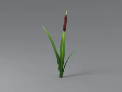 Cartoon Cattail 01 3D model