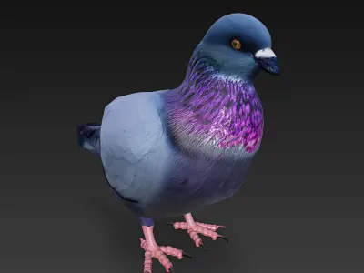 Pigeon 3D Model Basic - Low Poly Simple Low-poly 3D model