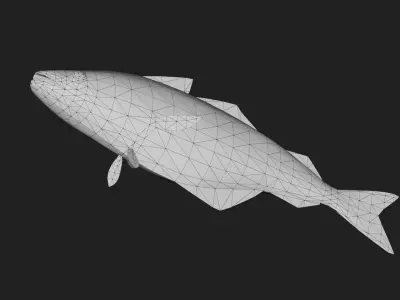 Cod fish Low-poly 3D model