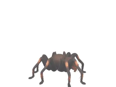 Giant Hairy Spider Plush 3D Model Game Character 3D model