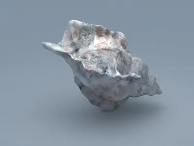 Sea Snail Conch Low-poly 3D model