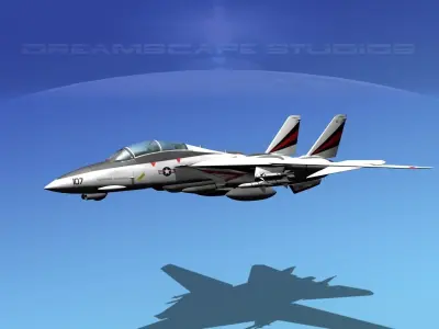 Grumman F-14D Tomcat T10a vf154 3D model