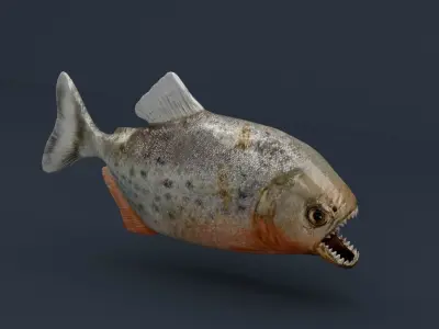Piranha fish Low-poly 3D model