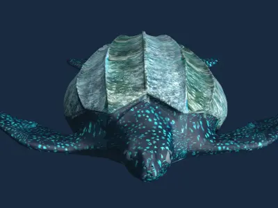 Leather back Turtle Low-poly 3D model