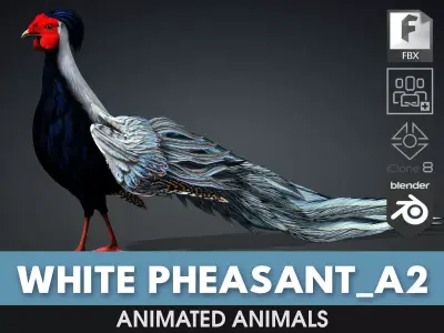 White Pheasant-A2 3D model