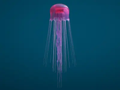 Jellyfish Small Rigged 3D model
