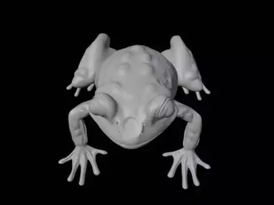 Frogg 3D print model