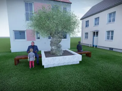 Olive tree with seater olive europaea model 3D model