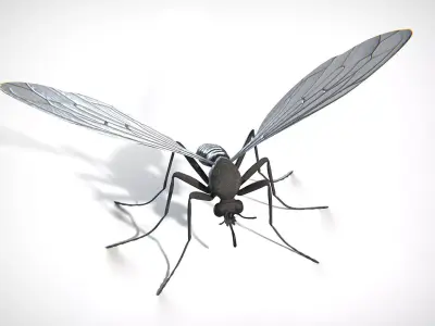 Mosquito PBR Low-poly 3D model