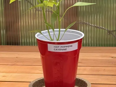 Planter Saucer - Geometry Nodes Free 3D print model