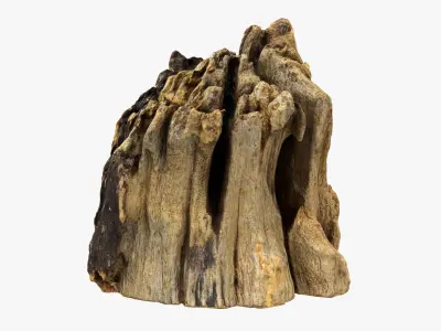 Tree Trunk Piece 14 3D model