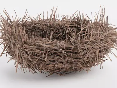 -Nest- 3D model