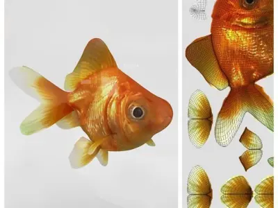 Golden Fish Bowl  3D model
