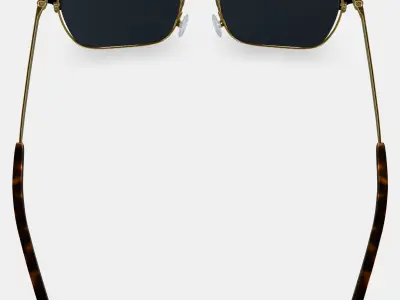 Ramona Sunglasses in Jet Black with Polished Gold 3D model
