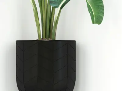 Plants collection 243 3D model