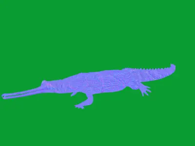 Gharial Gavial Crocodile Low-poly 3D model