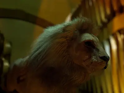 Rigged Lion 3D model