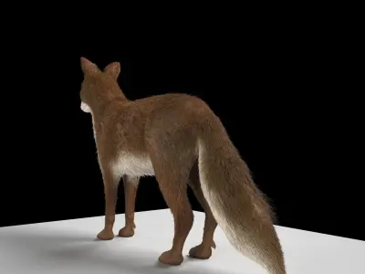 Fox animal Low-poly 3D model