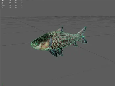 Gaintsiamesecarp Low-poly 3D model