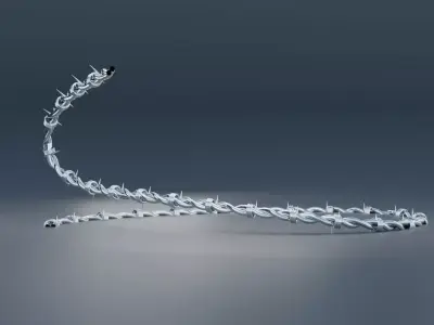 Barbed Wire 3D model