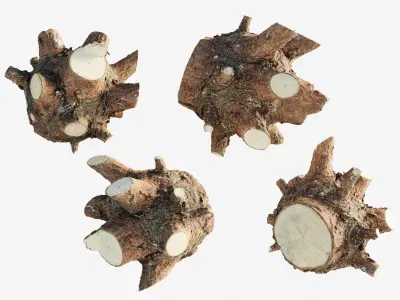 Scanned tree trunk firewood Low-poly 3D model