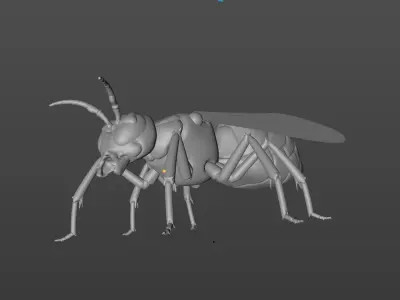 Wasp high poly flying in air Free 3D model