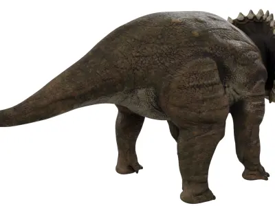Triceratops 3D model