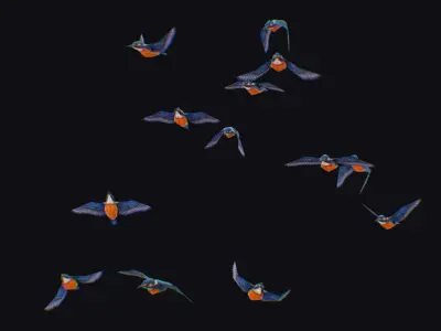 Kingfisher Flock Animated Bird Swarm Hummingbird Shoal Birds Low-poly 3D model
