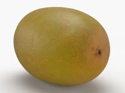 Golden Kiwi 3D model purchase