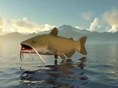 Realistic Catfish Low-poly 3D model
