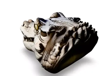 Realistic Crocodile Head 3D Model Low-poly 3D model