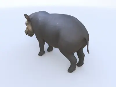 Tapir 3D model