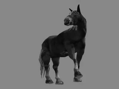 Black Wild Horse fully rigged Low-poly 3D model