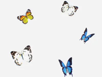 Animated Low Poly Art Several Butterflie Insect Low-poly 3D model