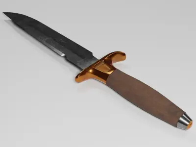 Combat Dagger Low-poly 3D model